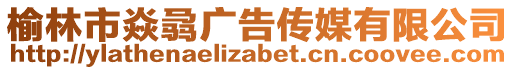 榆林市焱骉廣告?zhèn)髅接邢薰? style=