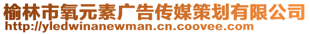 榆林市氧元素廣告?zhèn)髅讲邉澯邢薰? style=