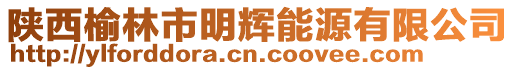 陜西榆林市明輝能源有限公司