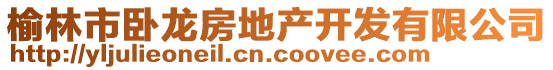 榆林市臥龍房地產開發(fā)有限公司