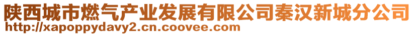 陜西城市燃氣產業(yè)發(fā)展有限公司秦漢新城分公司