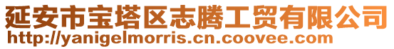 延安市寶塔區(qū)志騰工貿(mào)有限公司