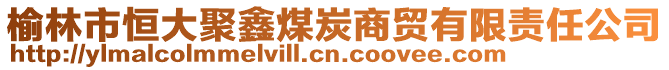 榆林市恒大聚鑫煤炭商貿有限責任公司