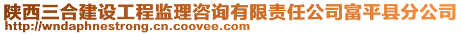 陜西三合建設(shè)工程監(jiān)理咨詢有限責(zé)任公司富平縣分公司