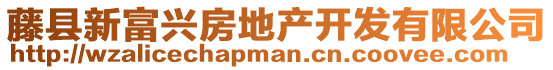 藤縣新富興房地產開發(fā)有限公司