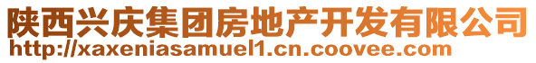 陜西興慶集團(tuán)房地產(chǎn)開發(fā)有限公司