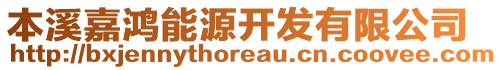 本溪嘉鴻能源開發(fā)有限公司