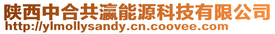 陜西中合共瀛能源科技有限公司