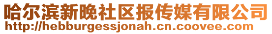 哈爾濱新晚社區報傳媒有限公司