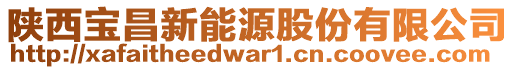 陜西寶昌新能源股份有限公司