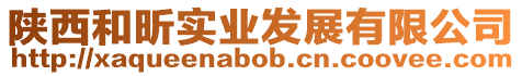 陜西和昕實業(yè)發(fā)展有限公司