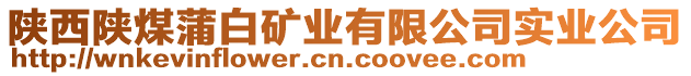 陕西陕煤蒲白矿业有限公司实业公司