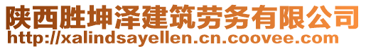 陜西勝坤澤建筑勞務(wù)有限公司