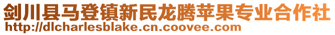 劍川縣馬登鎮(zhèn)新民龍騰蘋果專業(yè)合作社