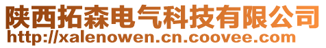 陜西拓森電氣科技有限公司