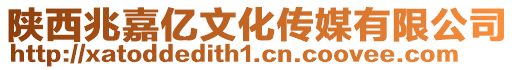 陜西兆嘉億文化傳媒有限公司