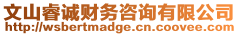 文山睿誠財務咨詢有限公司