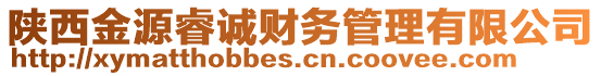 陜西金源睿誠財務管理有限公司