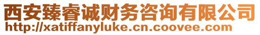 西安臻睿誠財務(wù)咨詢有限公司