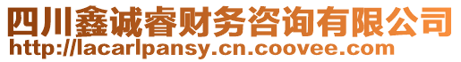 四川鑫誠睿財務(wù)咨詢有限公司