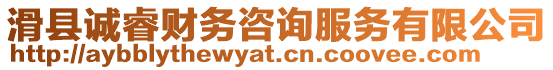 滑縣誠(chéng)睿財(cái)務(wù)咨詢(xún)服務(wù)有限公司