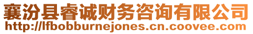 襄汾縣睿誠財務咨詢有限公司
