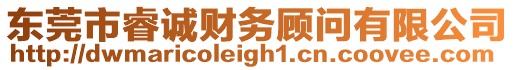 東莞市睿誠財務顧問有限公司