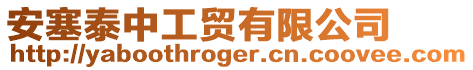 安塞泰中工貿(mào)有限公司