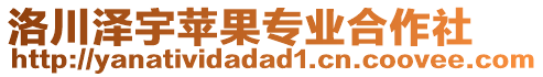 洛川澤宇蘋果專業(yè)合作社