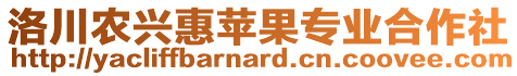 洛川農興惠蘋果專業(yè)合作社