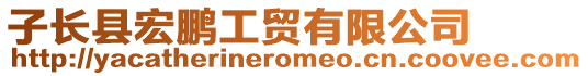 子長縣宏鵬工貿(mào)有限公司