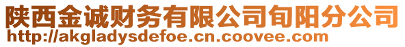 陜西金誠財(cái)務(wù)有限公司旬陽分公司