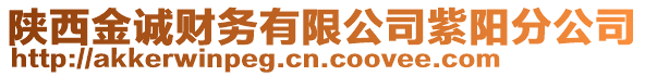 陜西金誠財務(wù)有限公司紫陽分公司