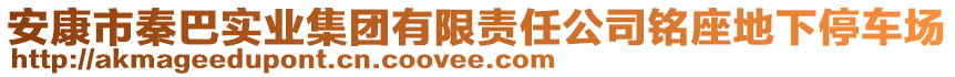 安康市秦巴實業(yè)集團有限責(zé)任公司銘座地下停車場