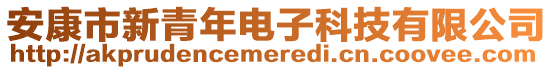 安康市新青年電子科技有限公司