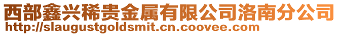 西部鑫興稀貴金屬有限公司洛南分公司