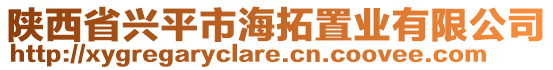 陜西省興平市海拓置業(yè)有限公司