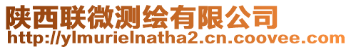 陜西聯微測繪有限公司