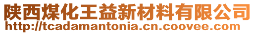 陜西煤化王益新材料有限公司