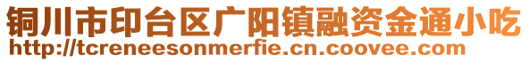 銅川市印臺區(qū)廣陽鎮(zhèn)融資金通小吃