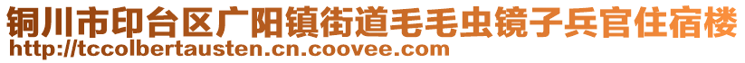 銅川市印臺(tái)區(qū)廣陽(yáng)鎮(zhèn)街道毛毛蟲鏡子兵官住宿樓