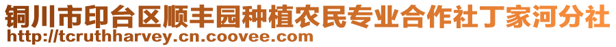 銅川市印臺(tái)區(qū)順豐園種植農(nóng)民專業(yè)合作社丁家河分社