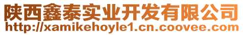陜西鑫泰實業(yè)開發(fā)有限公司