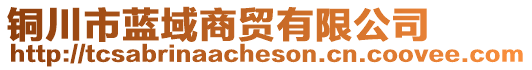 銅川市藍域商貿有限公司
