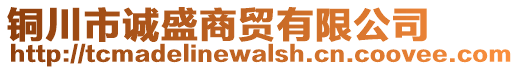 銅川市誠(chéng)盛商貿(mào)有限公司