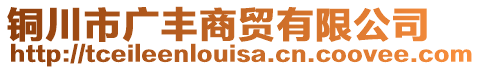 銅川市廣豐商貿(mào)有限公司