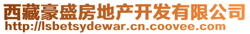 西藏豪盛房地產(chǎn)開(kāi)發(fā)有限公司