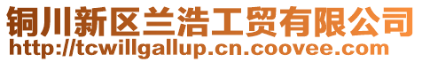 銅川新區蘭浩工貿有限公司
