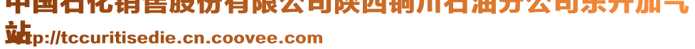 中國石化銷售股份有限公司陜西銅川石油分公司東升加氣
站