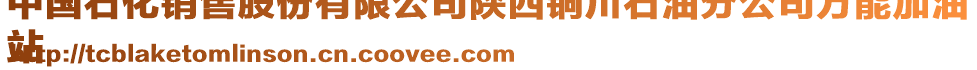 中國(guó)石化銷售股份有限公司陜西銅川石油分公司萬(wàn)能加油
站